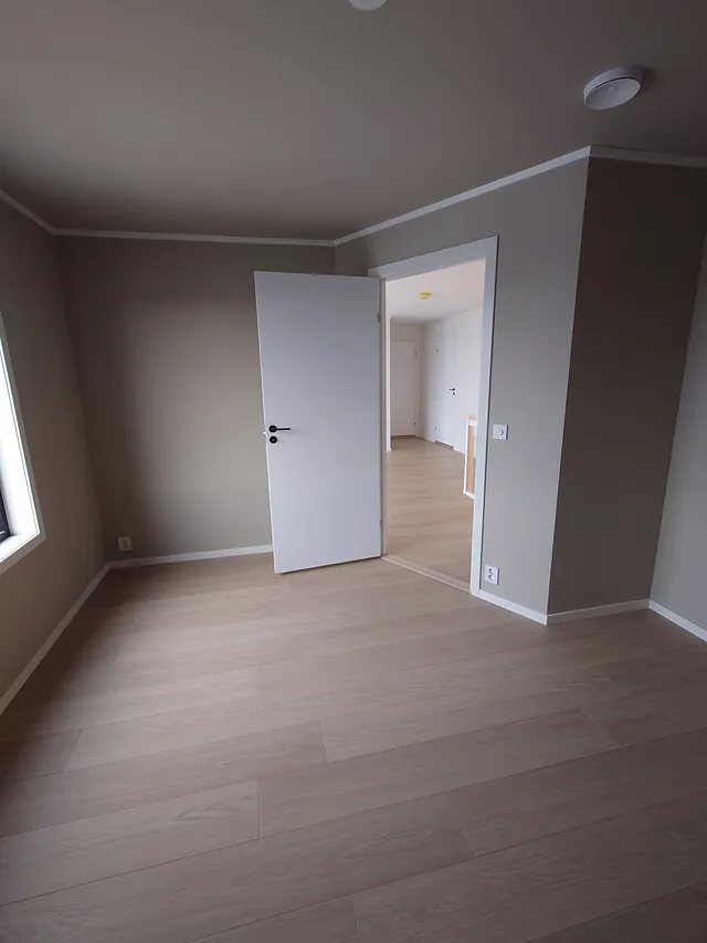 Sparkling og maling av hus